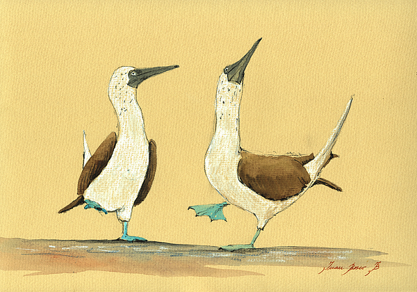 Boobies Art for Sale