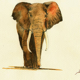 elephant watercolor by Juan  Bosco