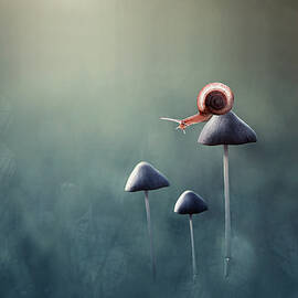 Lonely by Edy Pamungkas