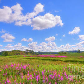 Mid-summer by Veikko Suikkanen