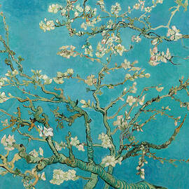 Almond Blossom by Vincent Van Gogh