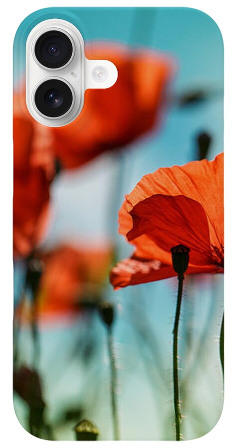 Vibrant Red Poppies in Bloom iPhone Case