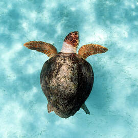 160526-5628 by Enric Gener