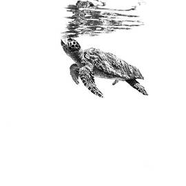 160526-5803 by Enric Gener