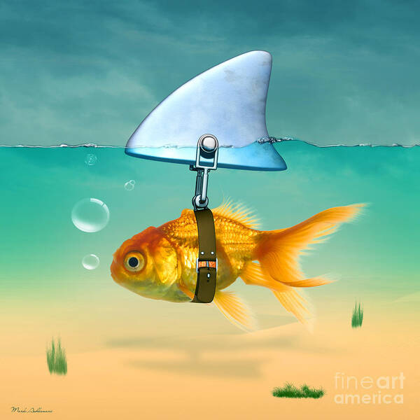 Goldfish with Shark Fin Wall Art