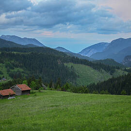Nature by Bess Hamiti