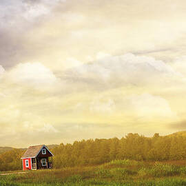 A Place to Call Home by Amy Tyler