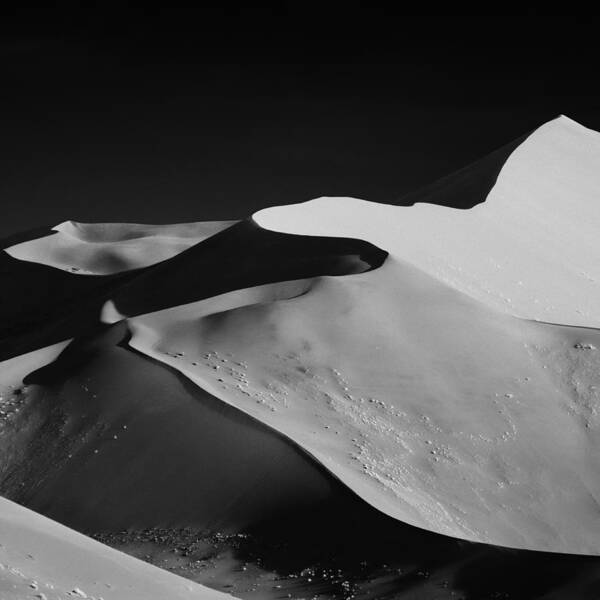 Majestic Black and White Sand Dunes Wall Art