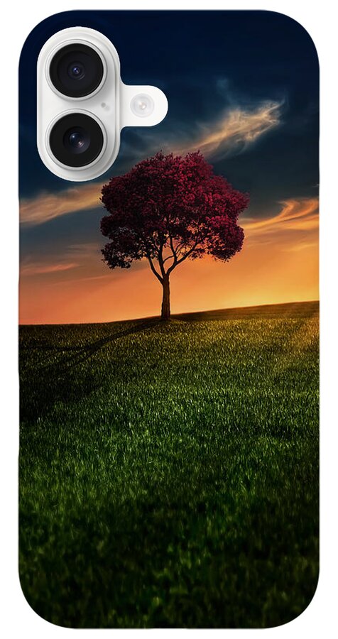 Solitary Tree at Sunset iPhone Case