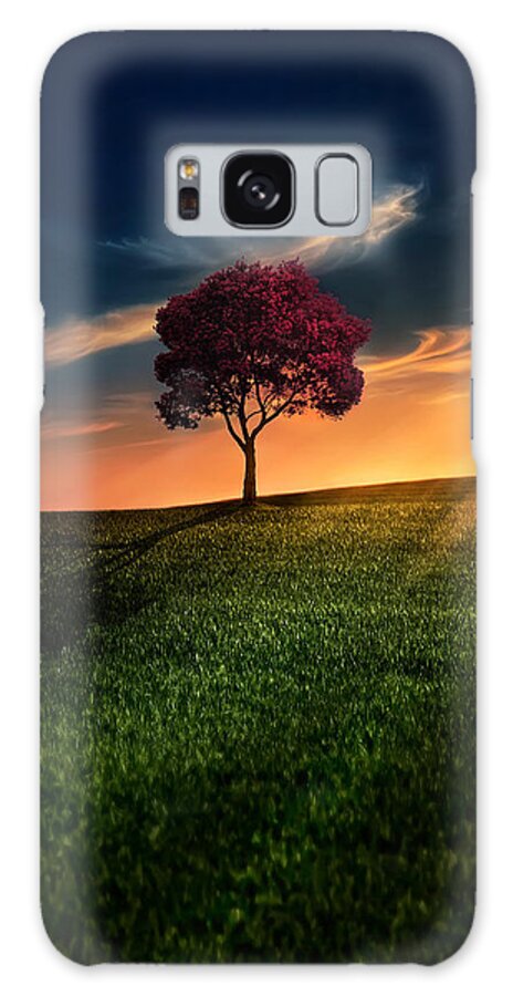Solitary Tree at Sunset Galaxy Case
