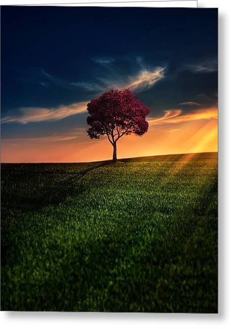Sunset Greeting Cards for Sale