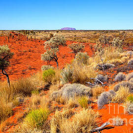 Central Australia by Bill  Robinson