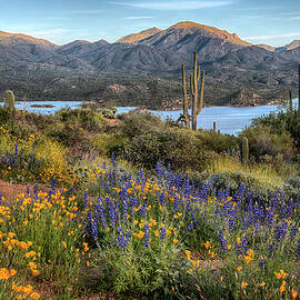 Bartlett Lake surrounded by colorful spring flowers by Dave Dilli