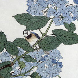 Bird in hydrangeas, Vintage Japanese Botanical Print by Japanese School