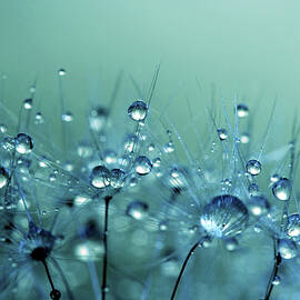 Blue Shower by Sharon Johnstone