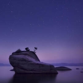 Bonsai Island by Sean Foster