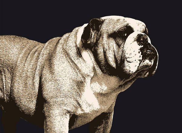 Majestic Bulldog Wall Art