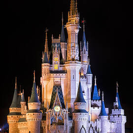 Cinderella's Castle in Magic Kingdom by Adam Romanowicz