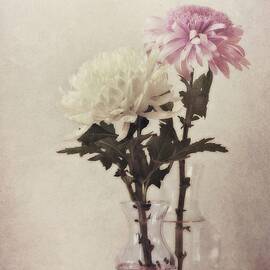 closely by Priska Wettstein