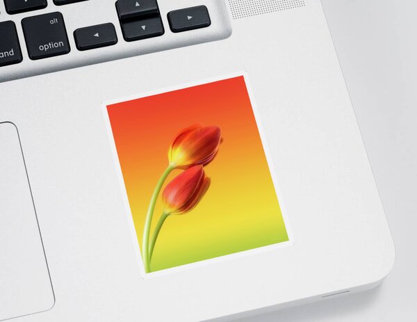 Flowers Stickers for Sale