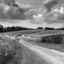 Country Road - Carroll County - Maryland