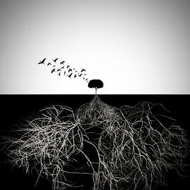 Do Not Judge According To Appearance by Sourig  Arslanian