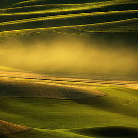 Dust & Dusk by David H Yang