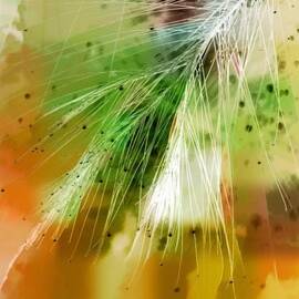 Earth Silk by Holly Kempe