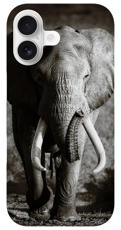 Majestic Elephant in the Wild iPhone Case