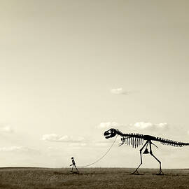 Evolution by Todd Klassy