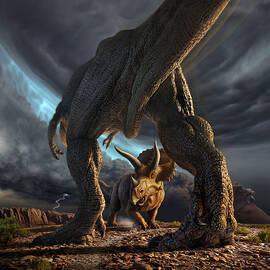 Face Off by Jerry LoFaro