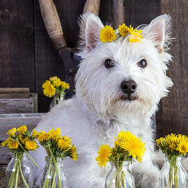Flower Child by Edward Fielding
