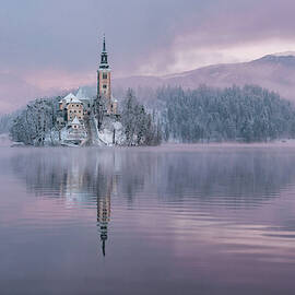 Frozen Fairytale by Ales Krivec