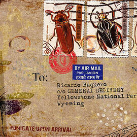 Fumigate Upon Arrival by Carol Leigh