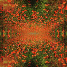 Go with the flowers by Fran Rodriguez