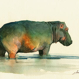 Hippo watercolor painting by Juan  Bosco