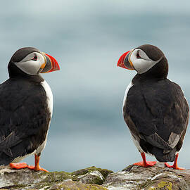 I Love You - I Love You Too by Milan Zygmunt