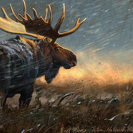 Incoming by Aaron Blaise