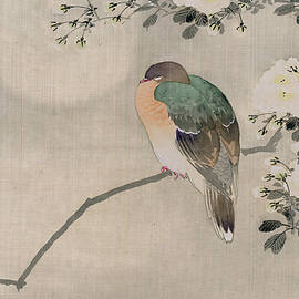 Japanese Silk Painting of a Wood Pigeon by Japanese School