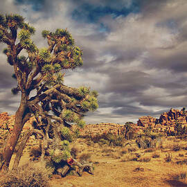 Just a Touch of Madness by Laurie Search
