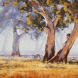 Kangaroo Grazing by Graham Gercken