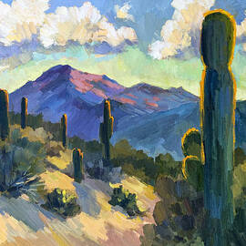 Late Afternoon Tucson by Diane McClary