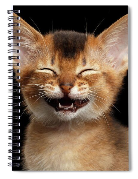 Laughing Abyssinian Kitten Spiral Notebook