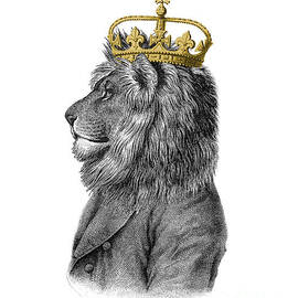 Lion the King of the jungle by Madame Memento