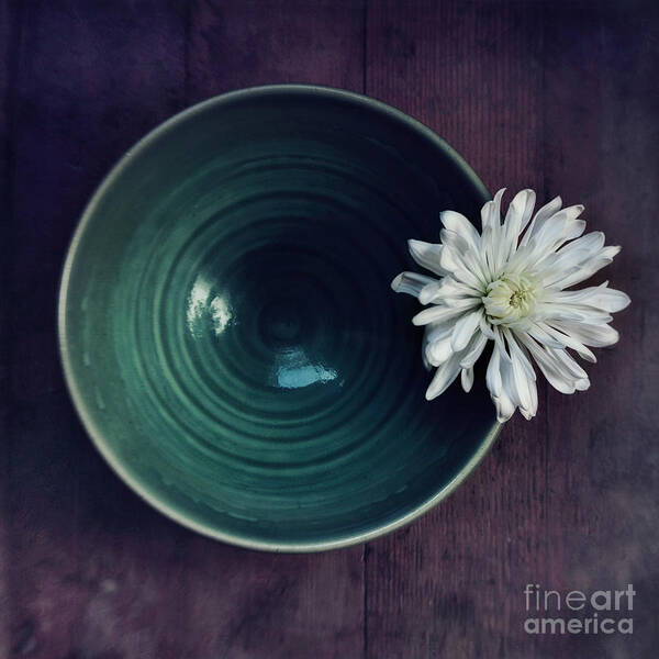 Green Bowl with White Daisy Wall Art
