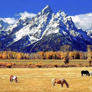 Artist of the Month - Four Seasons Group Only Art Competition