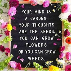 Encouraging Words and Images - Color Art Competition