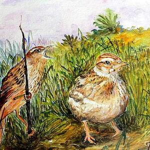 Winged Animal Activities Art Competition