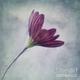 looking for you by Priska Wettstein