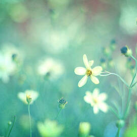 Lovestruck by Amy Tyler